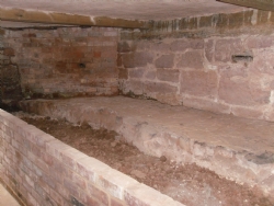 Cellar Restoration